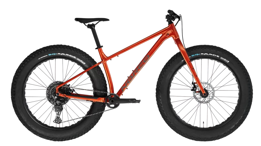 Norco Bigfoot 3