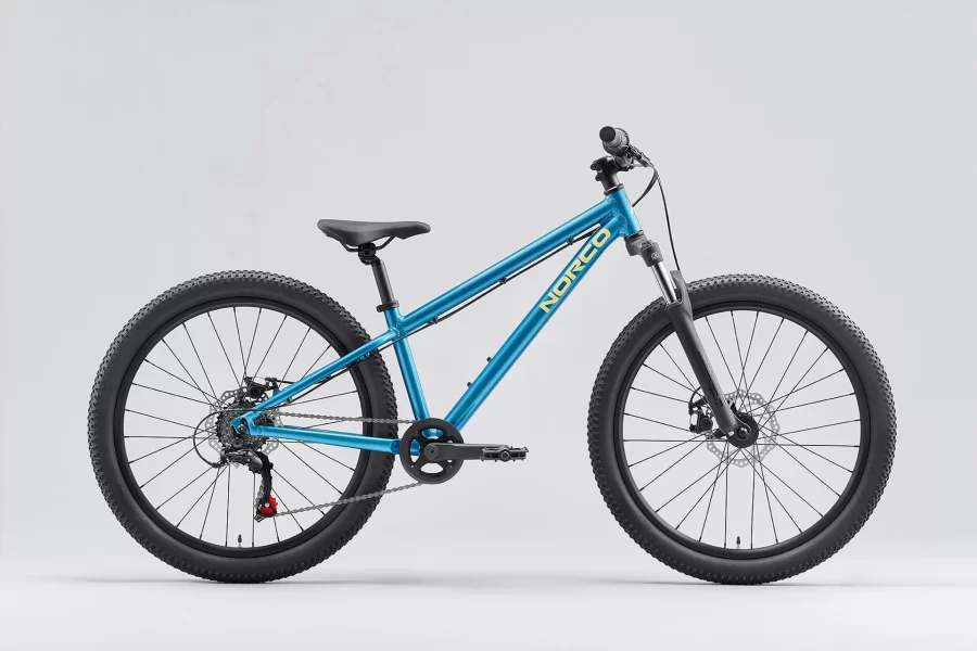 Norco Storm (Youth) 24"